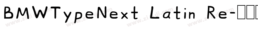 BMWTypeNext Latin Re字体转换